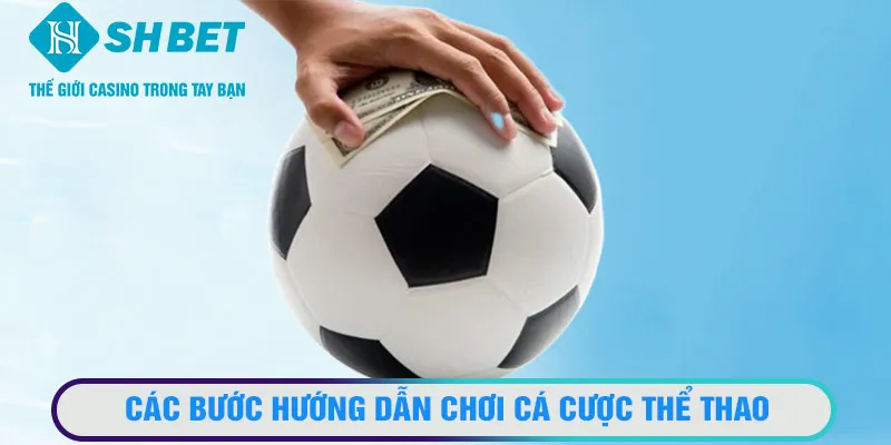 Các bước hướng dẫn chơi cá cược thể thao chi tiết ở nhà cái online
